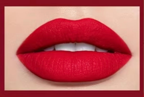 Free Gift - MATTE LIPGLOSS - #105